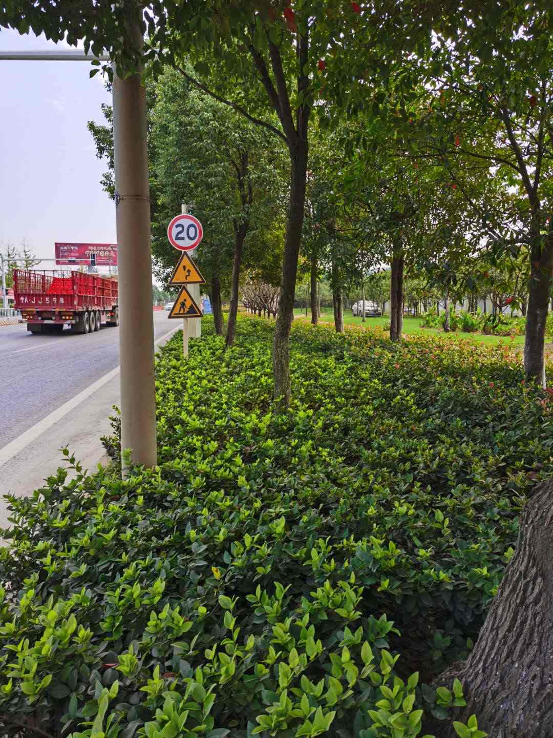大棋路綠化-03